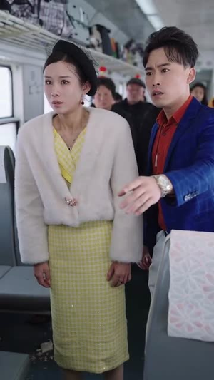 春运归途团圆年(40集) 春运归途团圆年(40集)经典回顾免费看