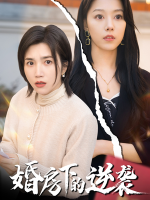 婚房下的逆袭（38集）短剧小说在线看