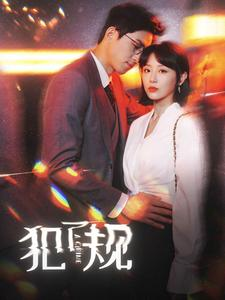 犯了规(96集) 犯了规(96集)流畅播放免费看
