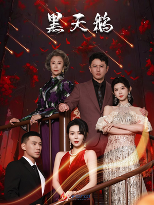 黑天鹅（51集）悬疑短剧推荐