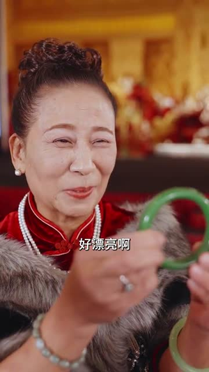 谎言戳破真相（30集）在线免费观看