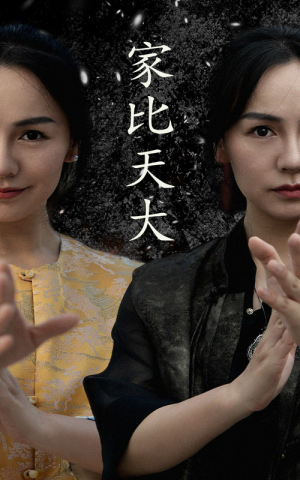 家比天大（63集）百度在线观看