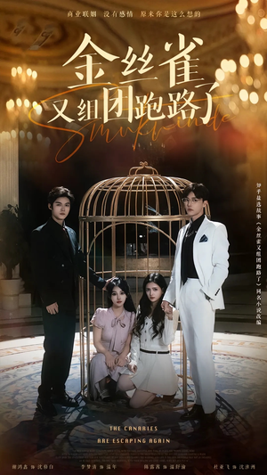 金丝雀又组团跑路了（长篇）上热门短剧