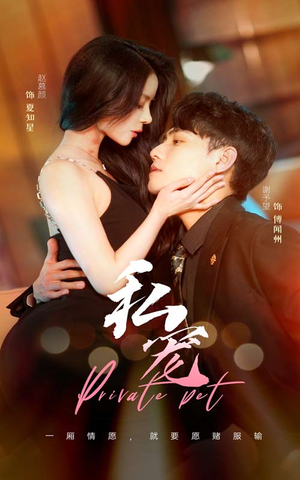 私宠（94集）追风的女孩短剧