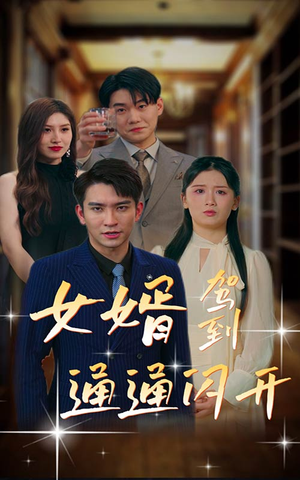 女婿驾到，通通闪开（34集）在线看