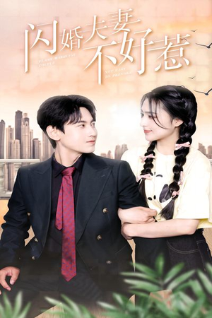 闪婚夫妻不好惹(90集) 闪婚夫妻不好惹(90集)评价怎么样