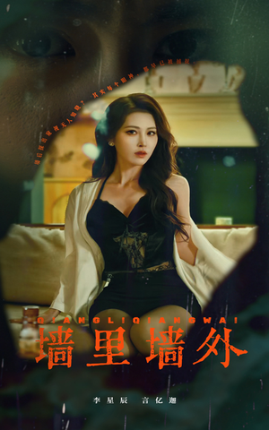 墙里墙外（55集）全集