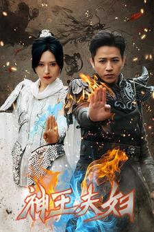 神王夫妇（167集）在线看免费版