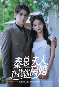 秦总，夫人在找你离婚（79集）简直不要太好看