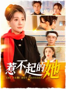 惹不起的她（106集）短剧热门合集