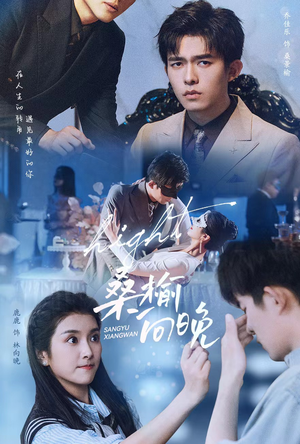 桑榆向晚(65集) 桑榆向晚(65集)精彩短剧抢先看