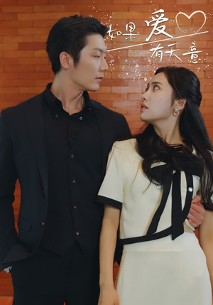 如果爱有天意（80集）新短剧推荐