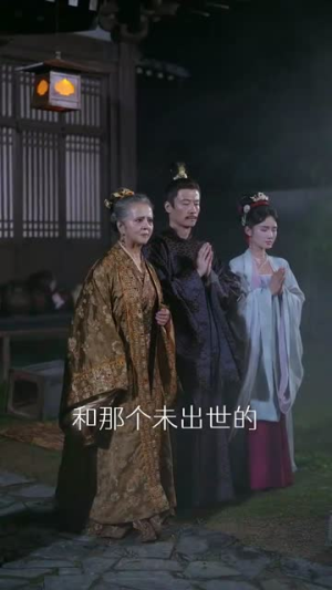 如意芳华(78集) 如意芳华(78集)真的太精彩了