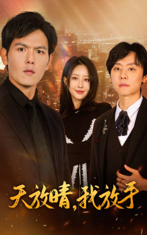 天放晴，我放手（35集）热门短剧在线看