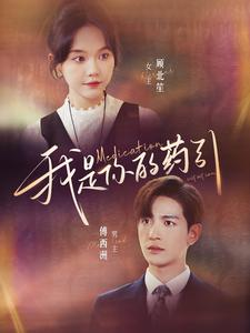 我是你的药引（100集）在线看到大结局