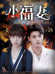 小福妻（62集）短剧推荐上热门