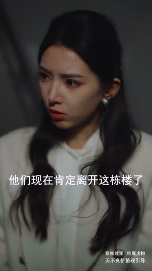 雾港缠绵（100集）热门短剧大全