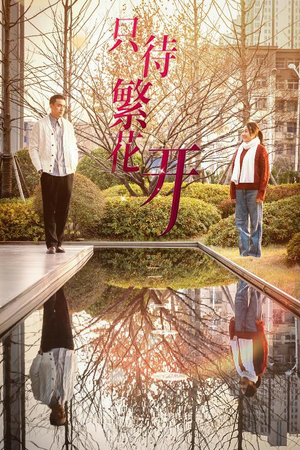 只待繁花开(35集) 只待繁花开(35集)大结局一气呵成