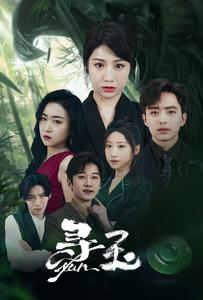 寻玉(77集) 寻玉(77集)热门爆款短剧