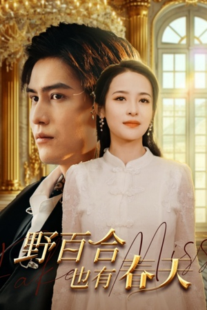 野百合也有春天（85集）女主谁演的