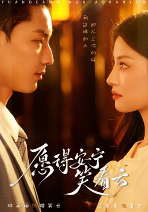 愿得安宁笑看云（78集）免费看
