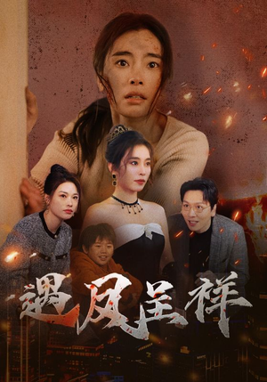 遇凤呈祥（50集）真的太精彩了