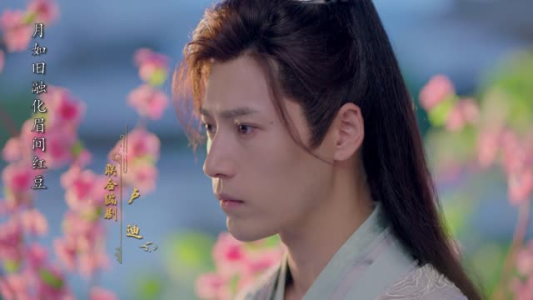 红颜无双(24集) 红颜无双(24集)更新时间一览表