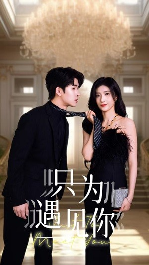 只为遇见你（88集）温柔追捕短剧