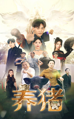 养猪（74集）在线免费观影