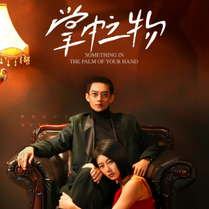 掌中之物（62集）最热短剧推荐
