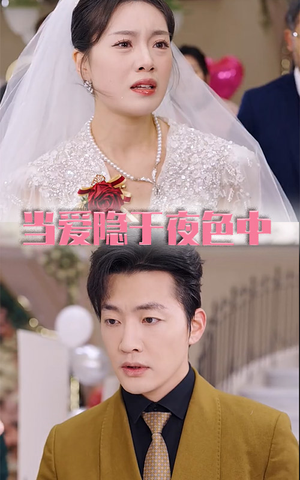 当爱隐于夜色中(37集) 当爱隐于夜色中(37集)在线看