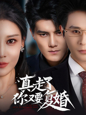 真走了你又要复婚（60集）免费短剧看不停