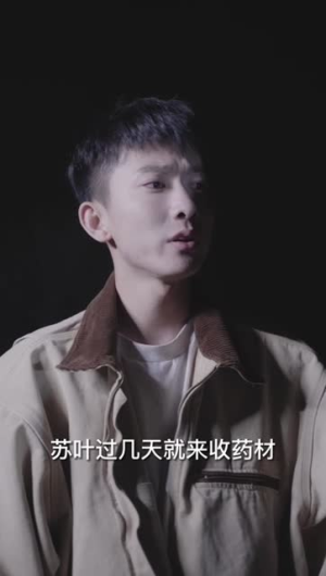 花开花落（100集）男频短剧推荐