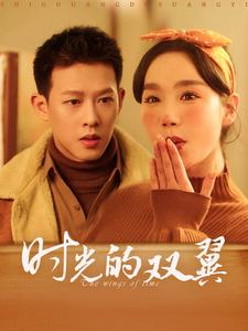 时光的双翼（94集）一口气看完