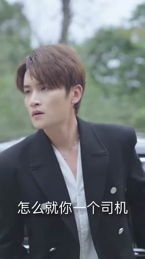 龙宝之巅（77集） 好看上头短剧