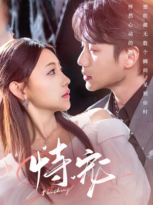 恃宠（87集） 热门短剧来袭