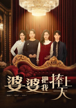 婆婆把我捧上天（52集） 全集我都看完了