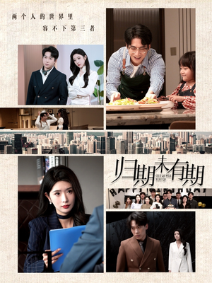 归期未有期(60集) 归期未有期(60集) 精彩短剧上线