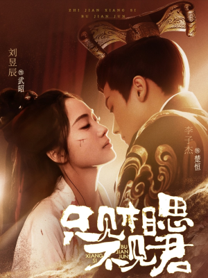 只见相思不见君(82集) 只见相思不见君(82集) 一起追短剧