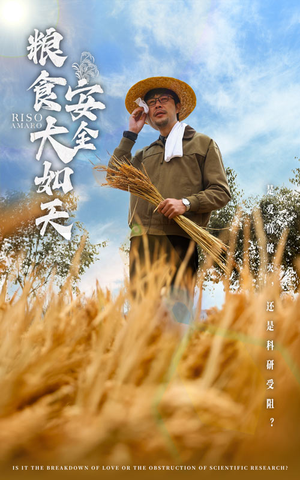 粮食安全大如天（43集） 超好看古装短剧