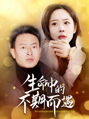 生命中的不期而遇（35集） 免费短剧大全