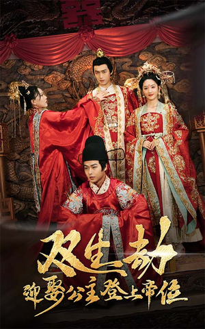 双生劫迎娶公主登上帝位（44集）全集一次看完