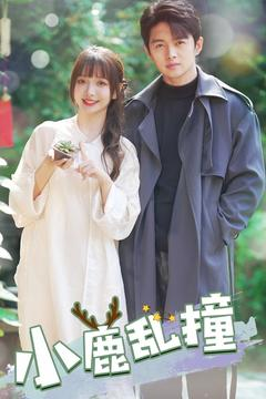 小鹿乱撞（40集） 爱上了这部剧了