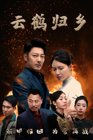 云鹤归乡（65集） 全集一网打尽