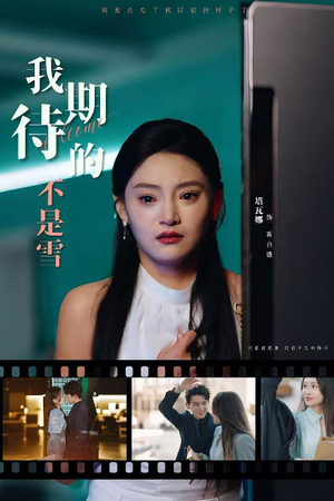 我期待的不是雪(30集) 我期待的不是雪(30集)更新时间