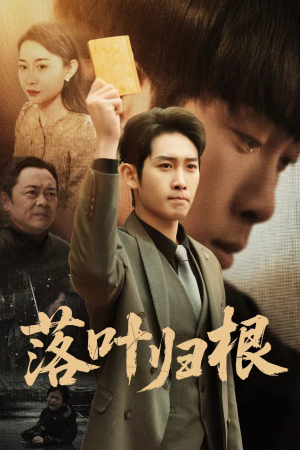 认祖归宗（35集） 热播短剧推荐