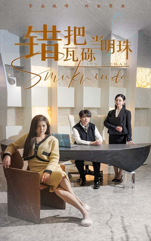 错把瓦砾当明珠(55集) 错把瓦砾当明珠(55集) 免费看全集