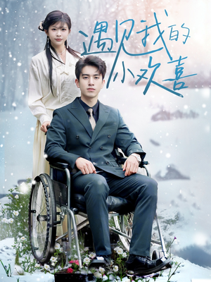 遇见我的小欢喜（70集） 热门短剧追不停