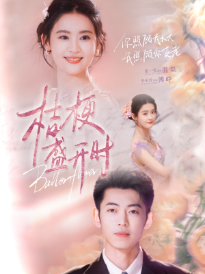 她的小桔梗（92集）热播短剧推荐