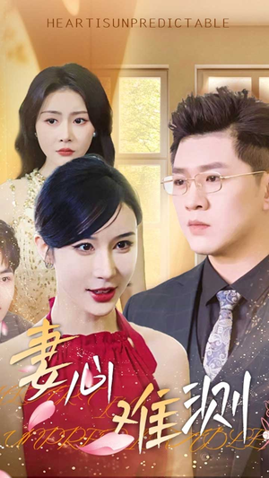 妻心难测（33集）最火短剧推荐
